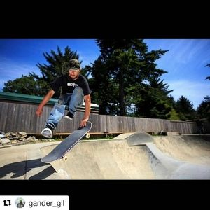 Meet your Posher, Alexander